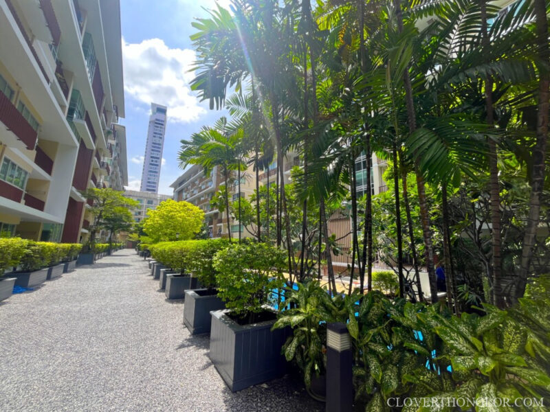 Long-stroll walkway Lush outdoor walkway at The Clover Thonglor, lined with potted palm trees and greenery, providing access between the condo's low-rise buildings.