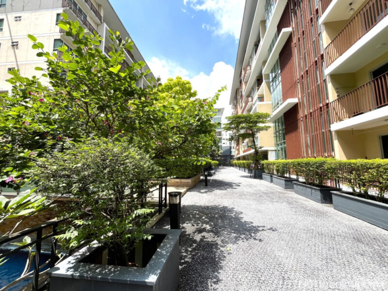 Long, sunlit gravel walkway between The Clover Thonglor's low-rise buildings, bordered by modern planters with lush, dense tropical greenery.