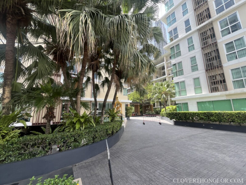 Paved driveway and temporary parking space at The Clover Thonglor, surrounded by dense tropical landscaping and leading toward the residential buildings.